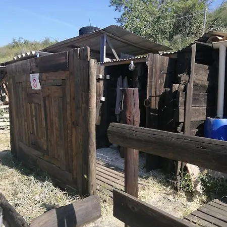 Insolite Au Sein D Un Ranch *