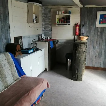 Insolite Au Sein D Un Ranch