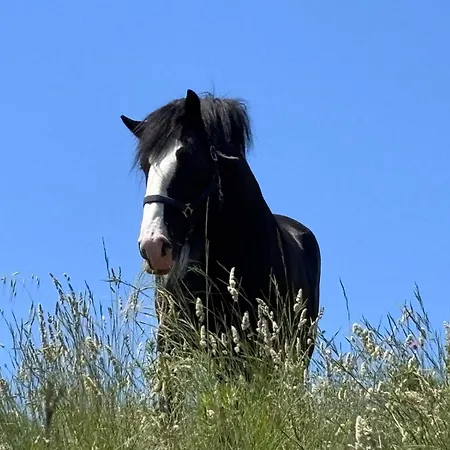 Σαλέ Insolite Au Sein D Un Ranch