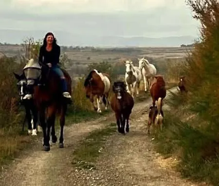 Chalet Insolite Au Sein D Un Ranch *