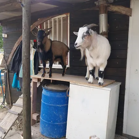 Σαλέ Insolite Au Sein D Un Ranch *